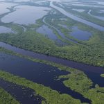 anavilhanas reduzidas retina 1