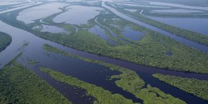 anavilhanas reduzidas retina 1