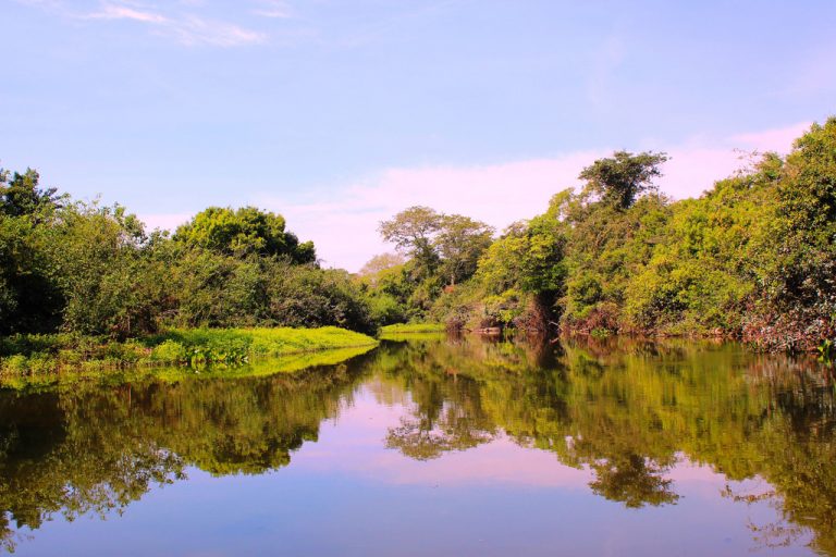 Mato Grosso – The largest wetlands in the world | Brol.com