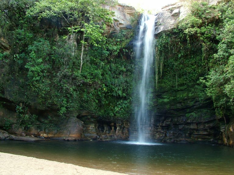 A Visit To Cerrado Brazil